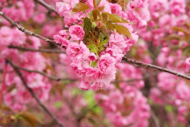 南京浦口区5线下个人借款平台一站式服务，轻松解决资金难题