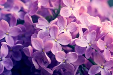 南京浦口区5企业急用钱贷款攻略：快速融资解燃眉之急